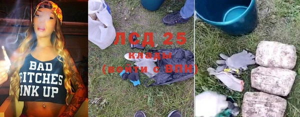 спиды Богданович