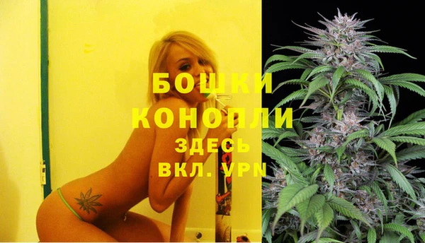 спиды Богданович