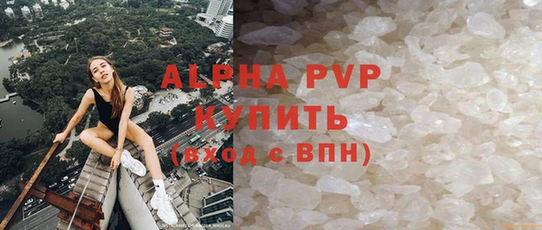 спиды Богданович