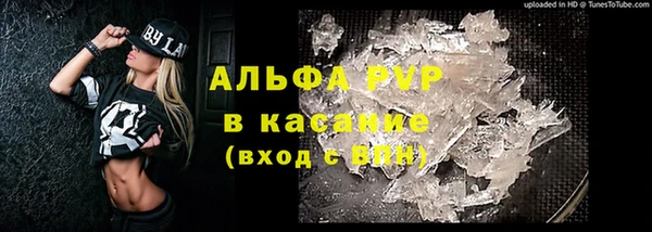 спиды Богданович