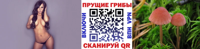 Галлюциногенные грибы GOLDEN TEACHER  даркнет телеграм  Кирс  продажа наркотиков 